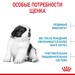 Royal Canin Giant Puppy Корм сухой для щенков очень крупных размеров до 8 месяцев – интернет-магазин Ле’Муррр